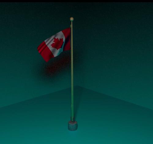  Canadian flag  preview image